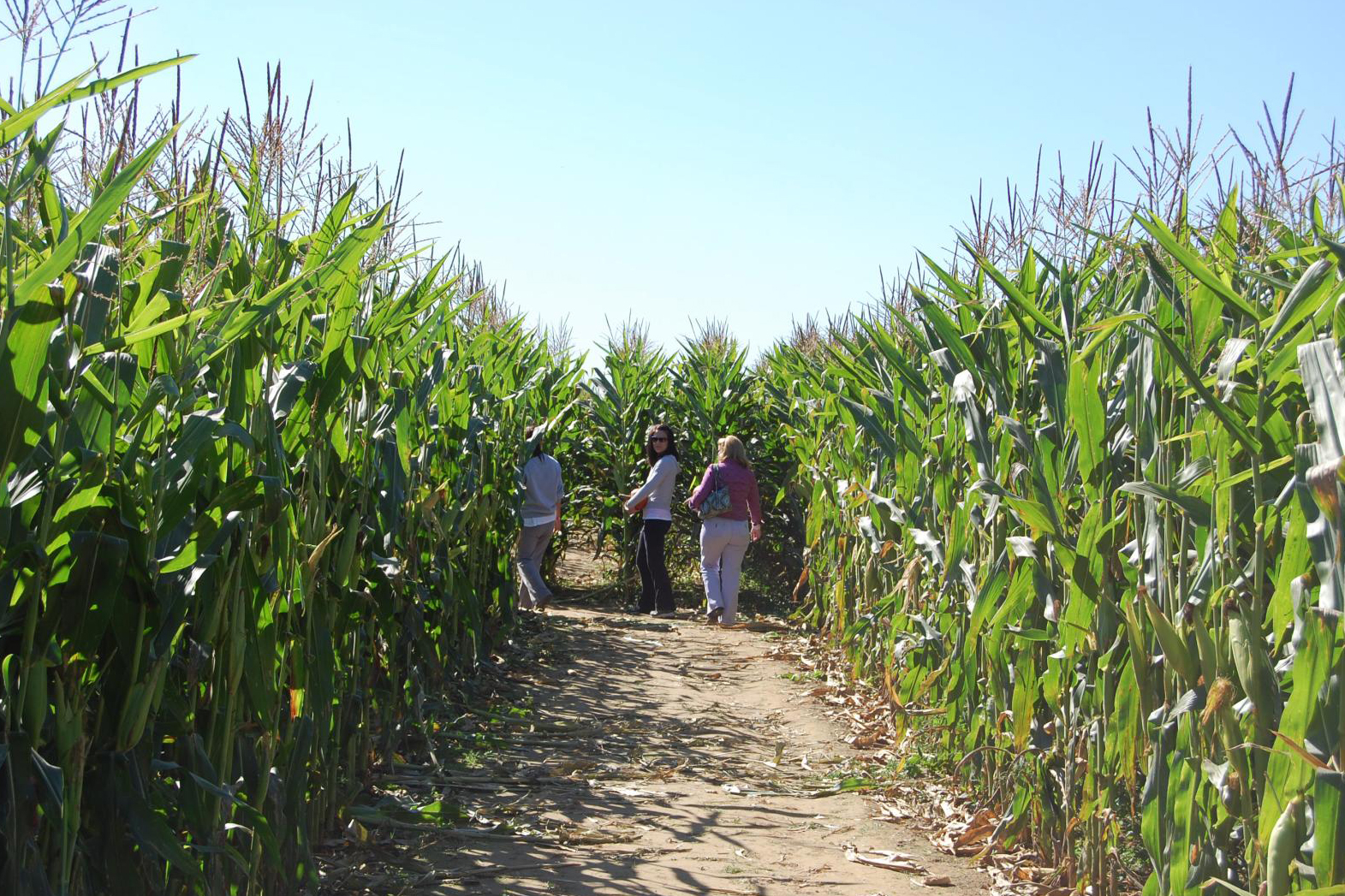 Educational Field Visit to Agriculture Center